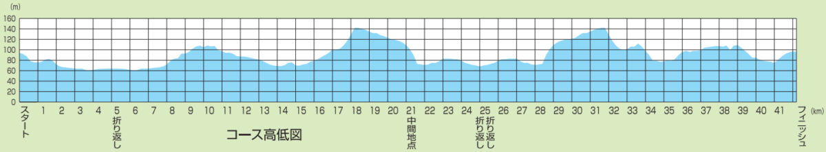 奈良マラソン 高低差グラフ